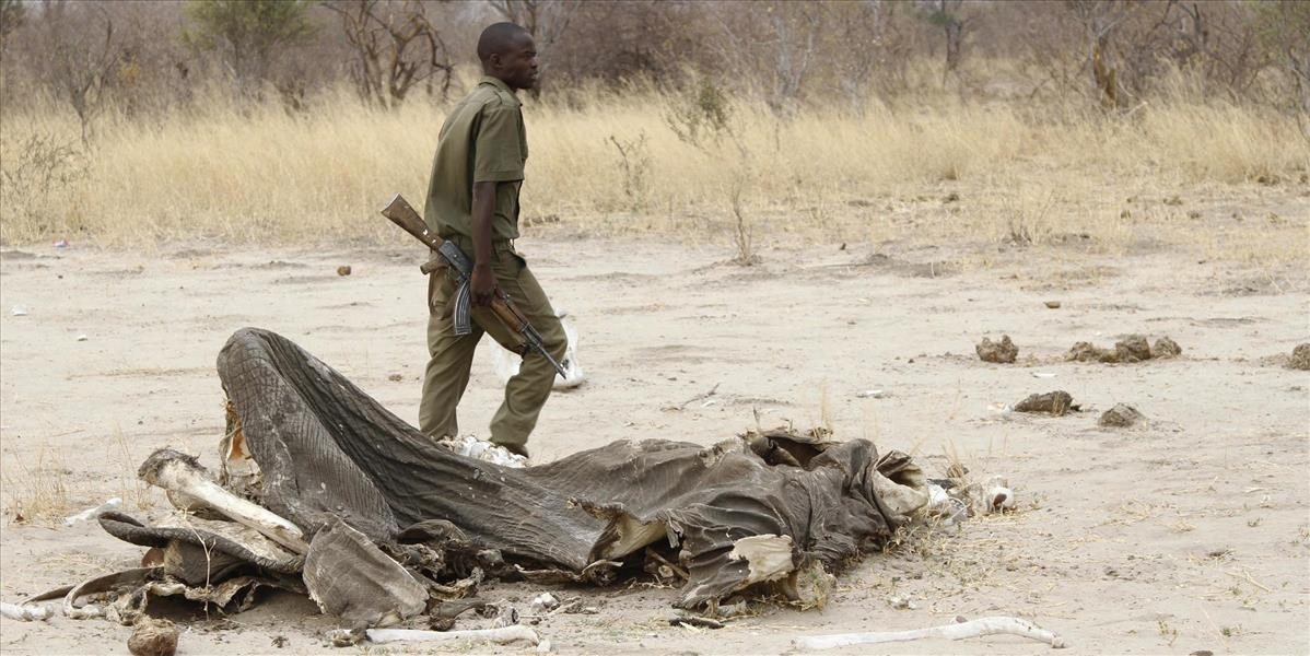 Pytliaci v Zimbabwe zabili kyanidom päť slonov