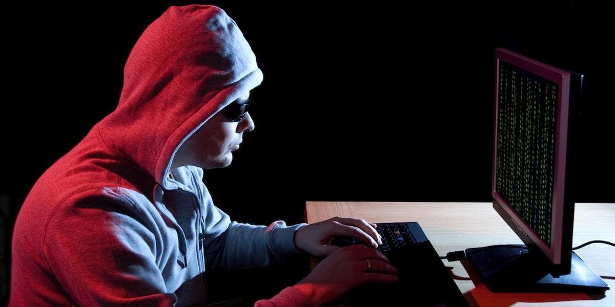 Hakeri vyradili po schválení zákona z prevádzky stránky českého Senátu