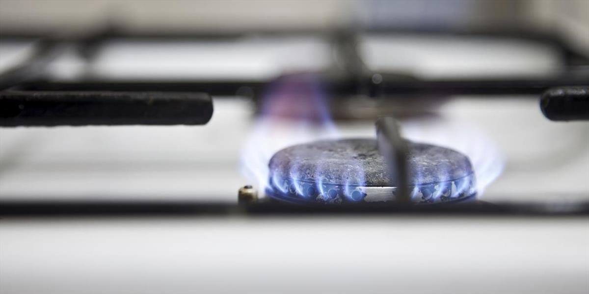 Dovoz plynu do SR vlani medziročne v hodnotovom vyjadrení klesol o 9,8 %