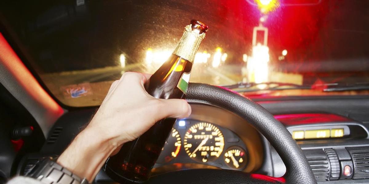 Polícia chytila vodiča: Jazdil opitý a so zákazom