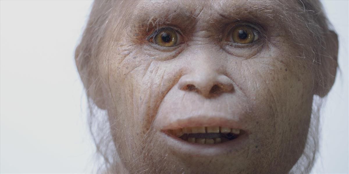 Vedci objavili predkov trpasličieho človeka druhu Homo floresiensis