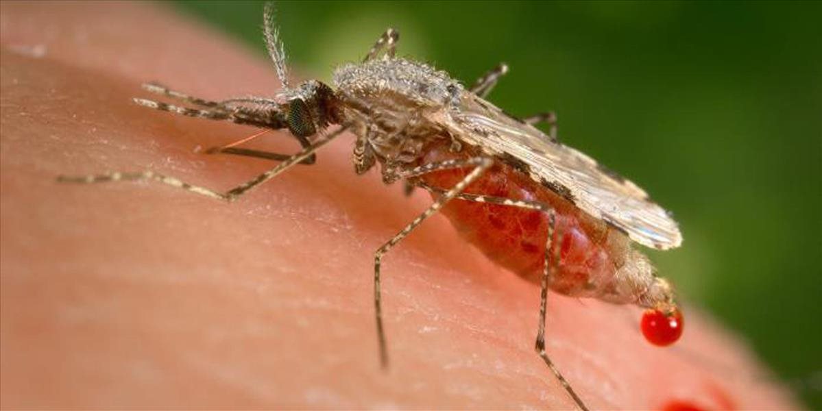 Vírusom zika sa v Brazílii za posledné mesiace nakazilo výrazne menej ľudí