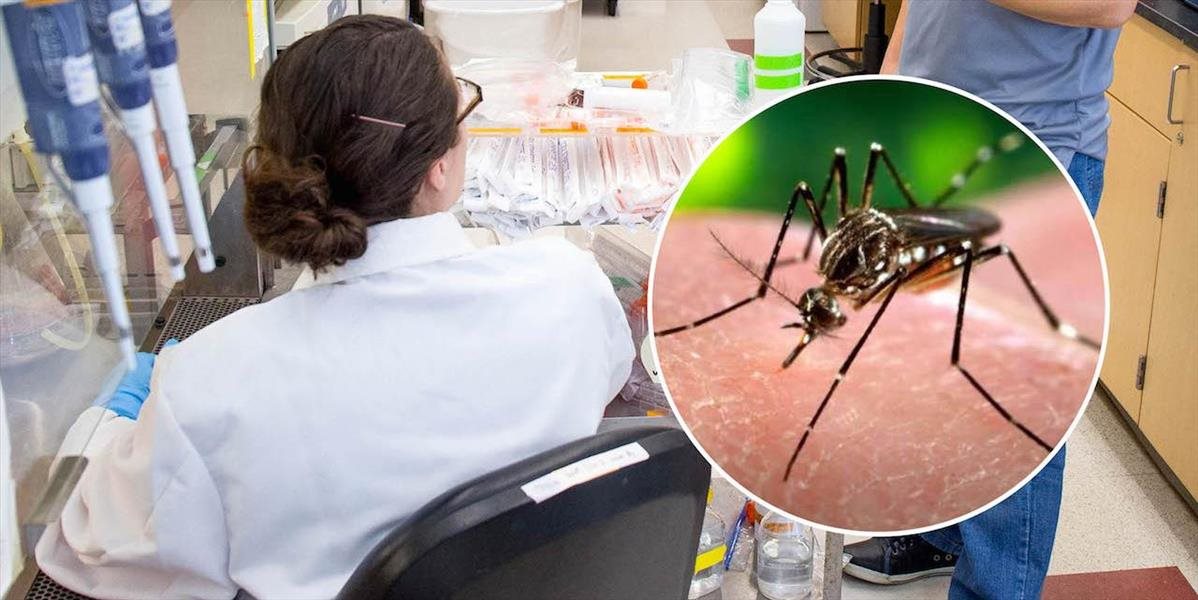 Českí vedci objavili prvú látku účinnú proti vírusu zika