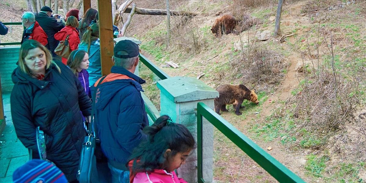 Obyvatelia Liptovského Mikuláša musia zabezpečiť kontajnery pred medveďmi