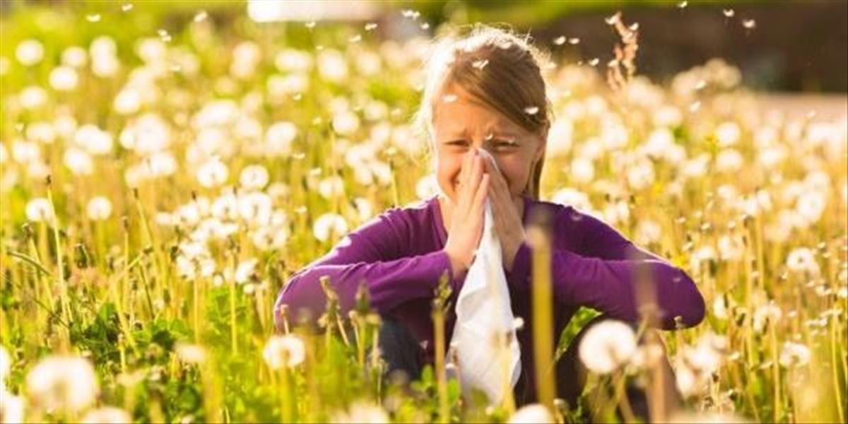 Alergikov potrápia peľové zrná tráv aj lipy