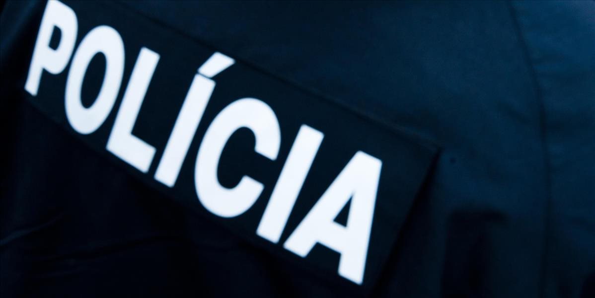 Polícia obvinila z prečinu sprenevery 46-ročnú Annu z okresu Michalovce