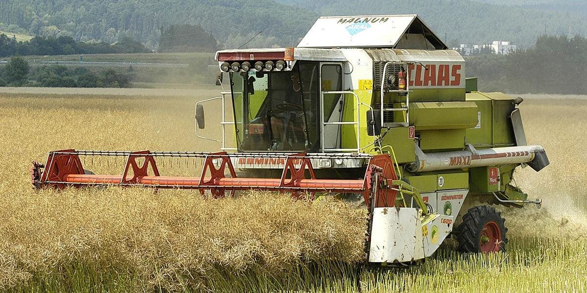 Poľnohospodári na juhu Slovenska sa pripravujú na žatvu
