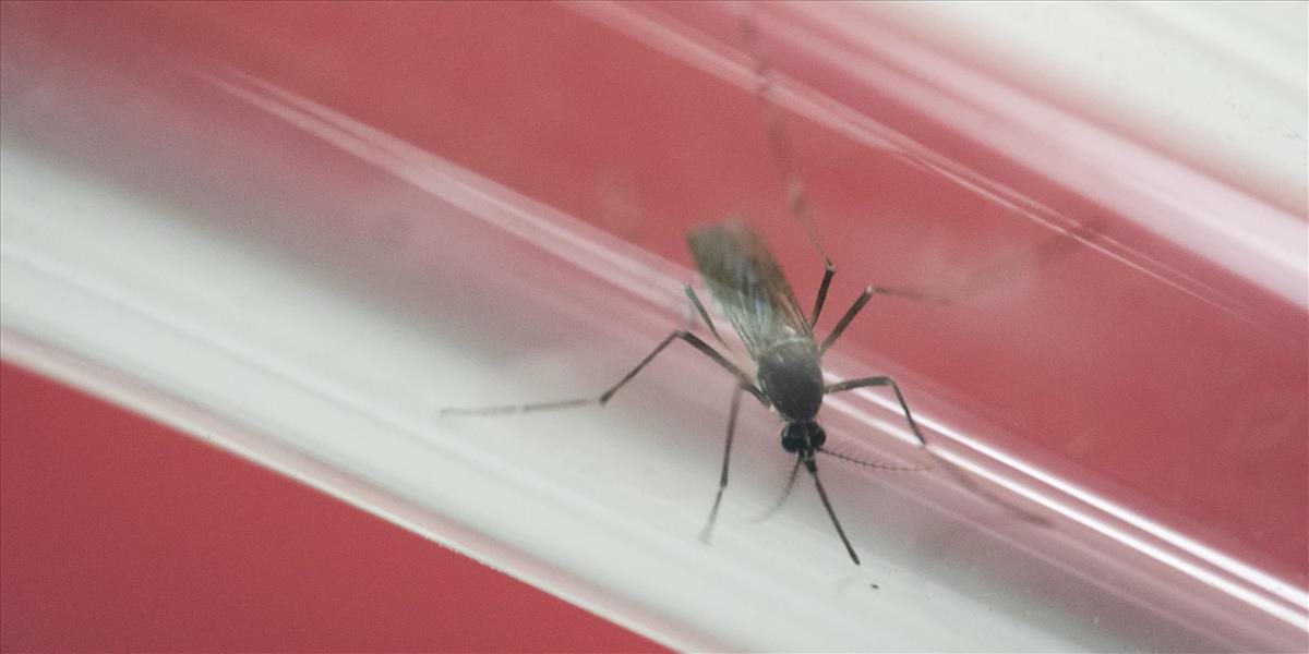 Kvôli vírusu zika vzrástol dopyt po potratovej pilulke