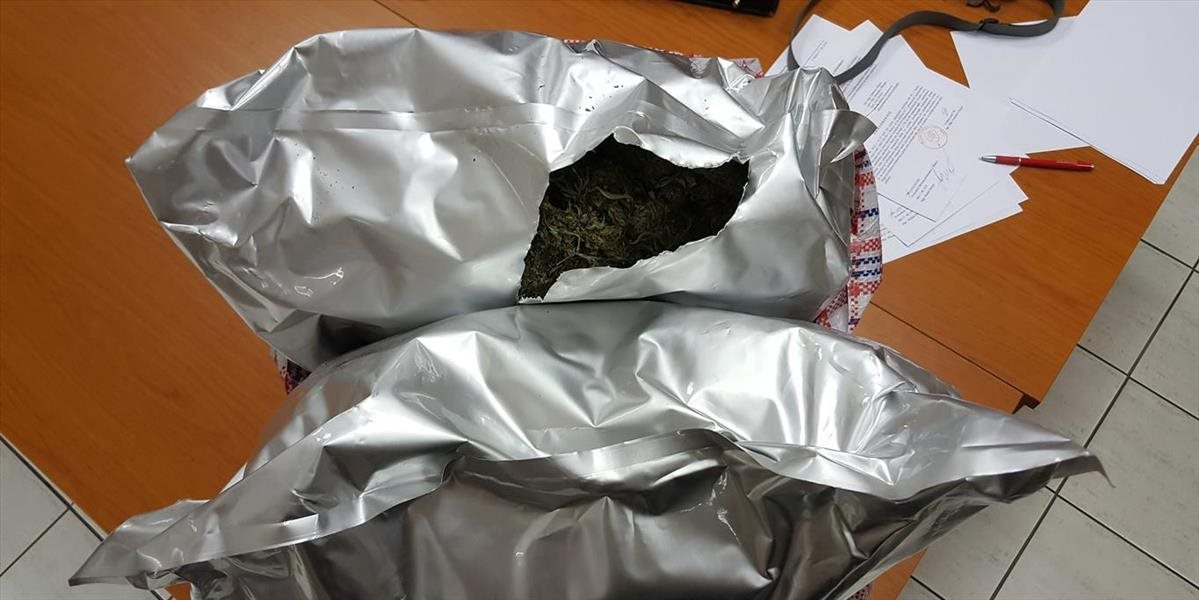 FOTO Colníci v Brodskom našli osem kilogramov marihuany