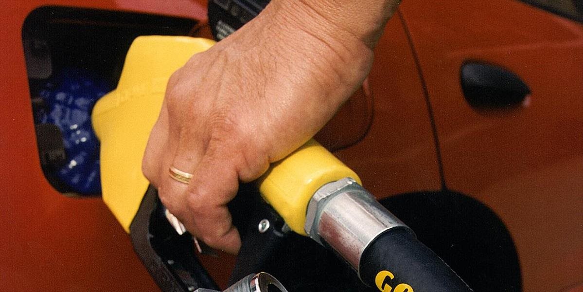 Ceny benzínov a nafty sa v 24. týždni znížili, ceny LPG stagnovali