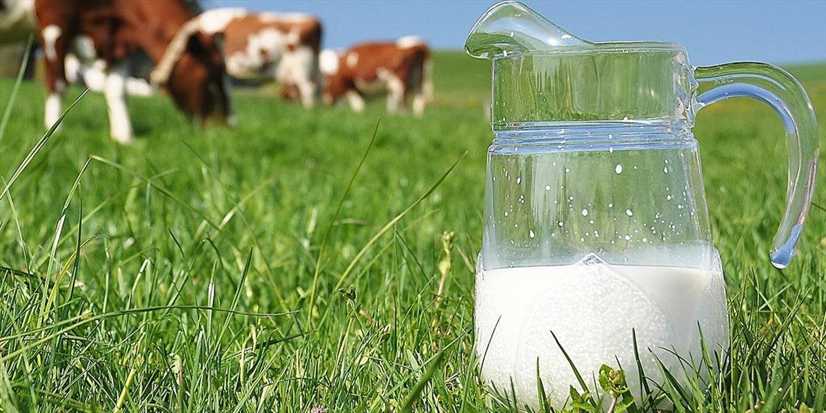 Protimonopolný úrad dal pokutu za dohodu o predaji mlieka a mliečnych výrobkov