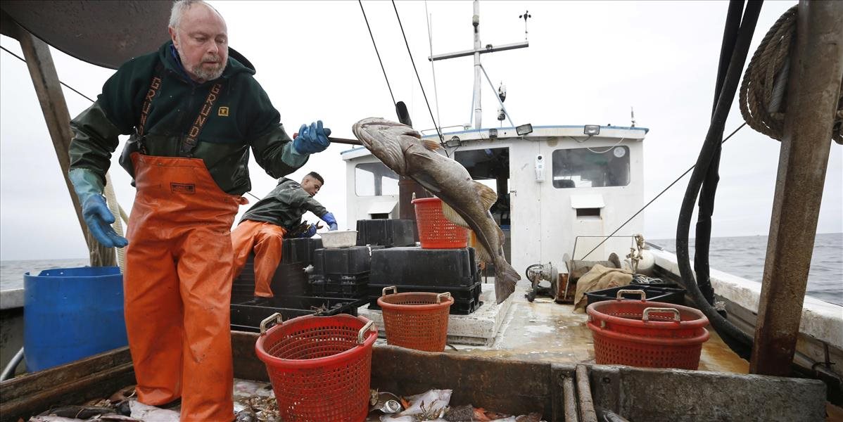 OSN: Celosvetová spotreba rýb dosiahla rekordne vysokú úroveň