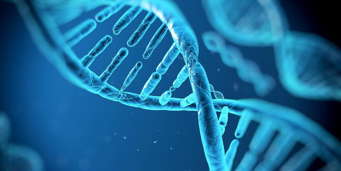 Prevratný objav našich vedcov: Nový proteín, ktorý opravuje poškodenú DNA