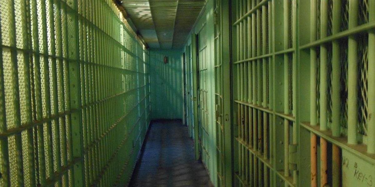 Prievidžan prepadol v byte 80-ročnú ženu, hrozí mu väzenie