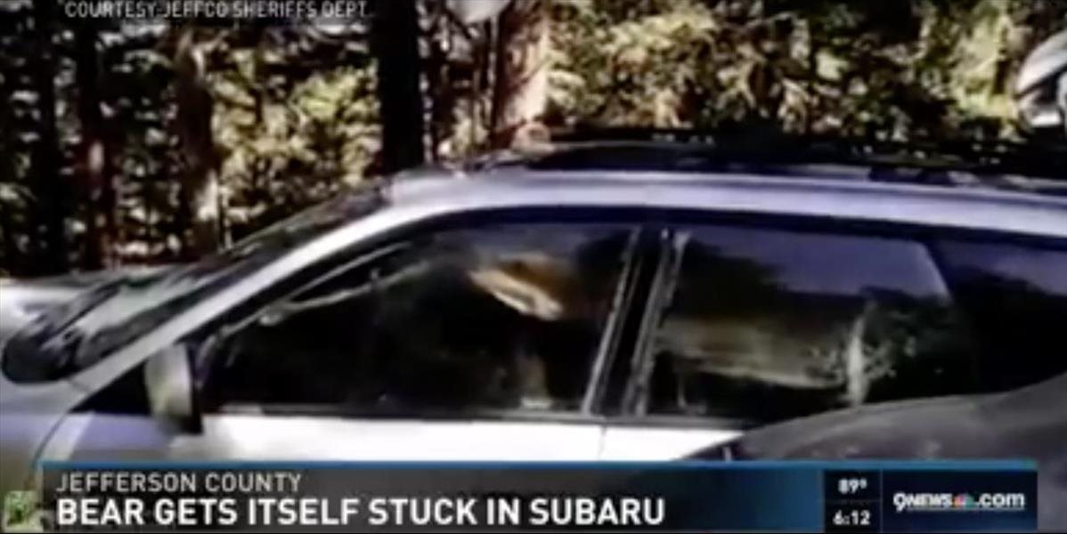 VIDEO Kuriózna situácia: Medveď vošiel do odomknutého auta pri lese a zabuchol sa v ňom