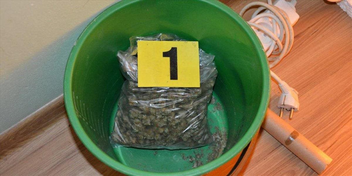 Za päť dávok marihuany hrozí mužovi z Trenčianskeho okresu päťročné väzenie