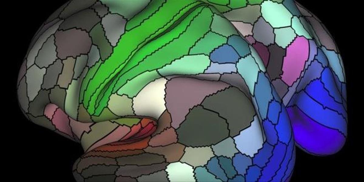 FOTO Úžasné: Vedci vytvorili najdetailnejšiu mapu mozgovej kôry v histórii