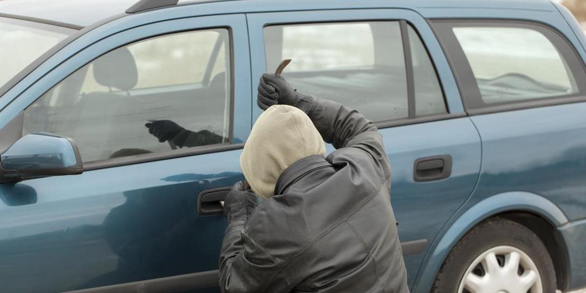 Zlodeji ukradli z auta aj päť pstruhov, polícia krádež objasnila