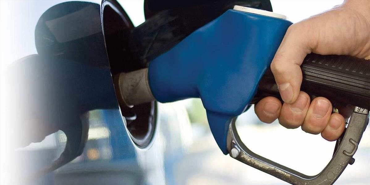 Cena benzínu 95 sa v 29. týždni znížila, ceny nafty a LPG sa zvýšili