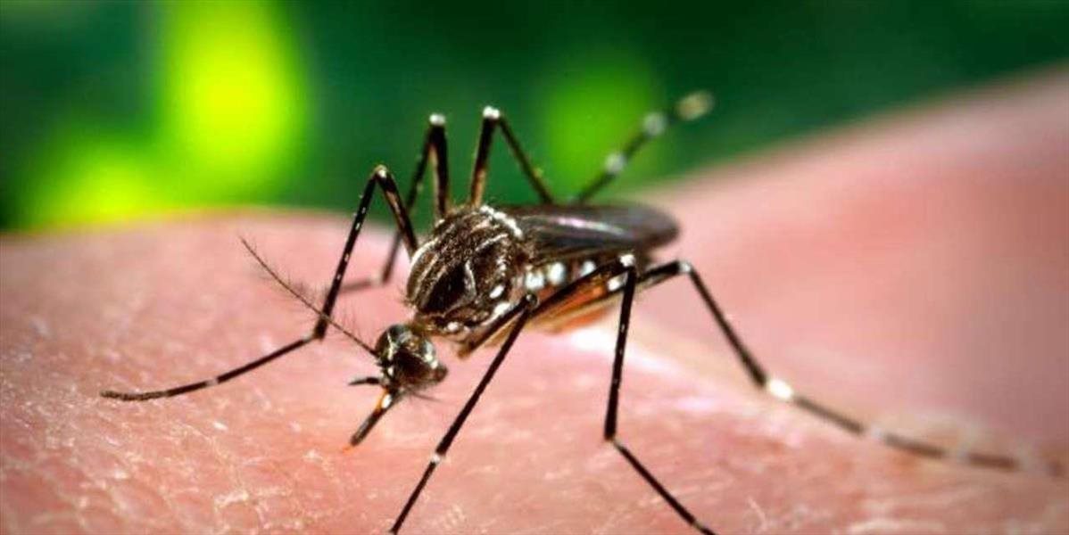 Vírus zika sa začal šíriť komármi už aj v USA