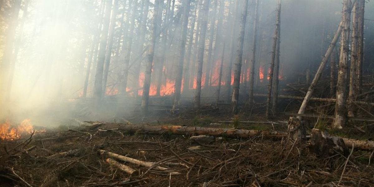 Lesný požiar na ostrove Euboia v Grécku nie je stále pod kontrolou