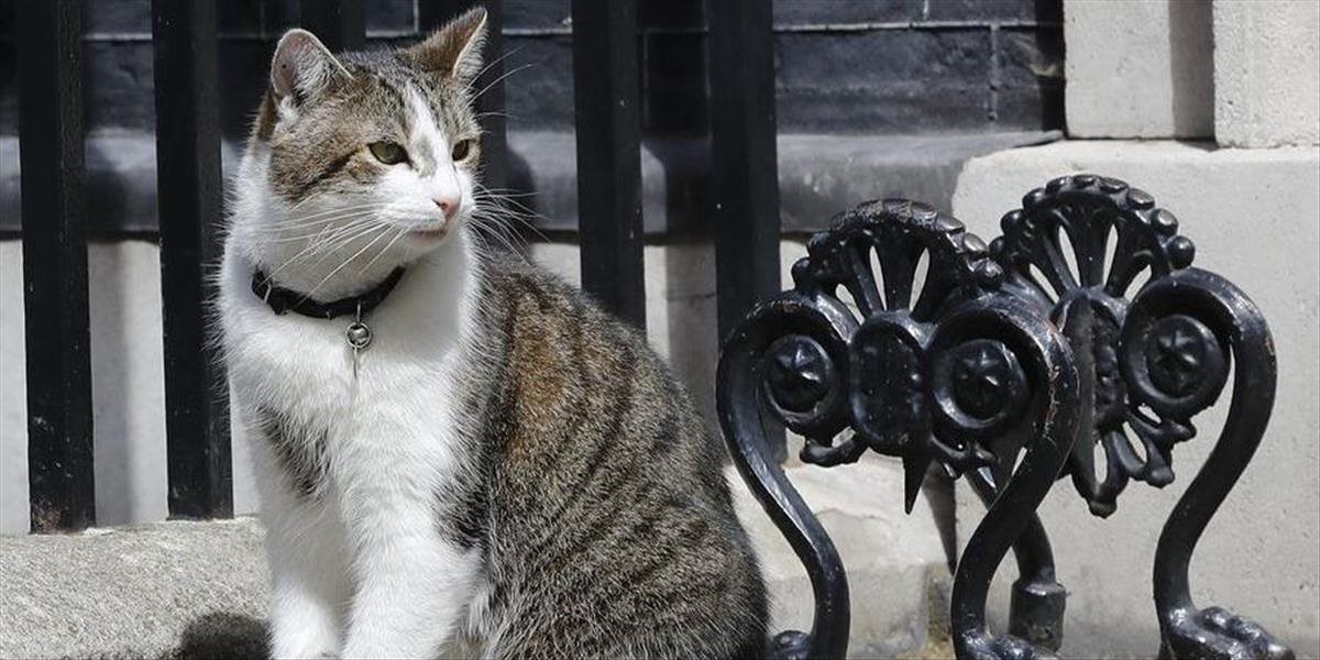 Expertka zo zvieracieho útulku radí politikom na Downing Street