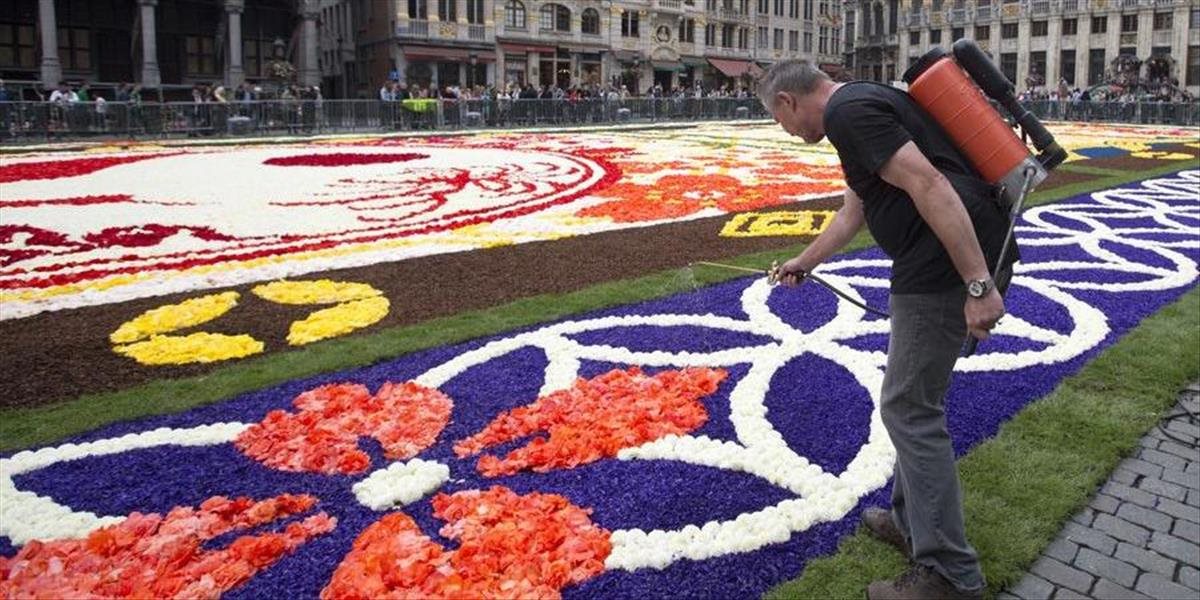 Na hlavnom námestí v Bruseli opäť vytvorili koberec z kvetín