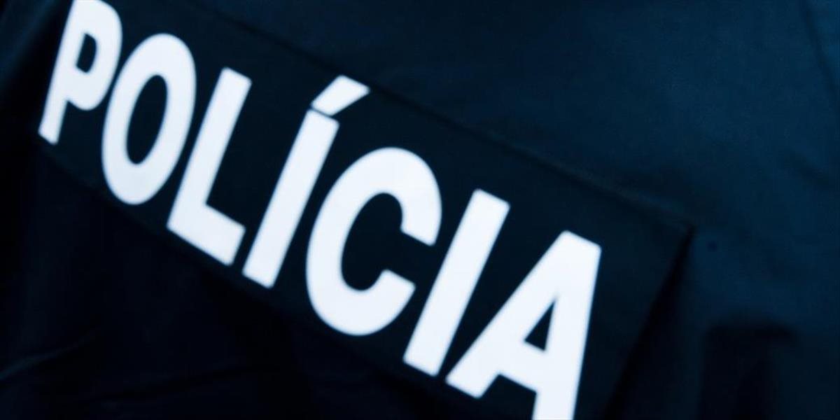 Polícia vykoná osobitnú kontrolu premávky v okresoch Lučenec a Revúca