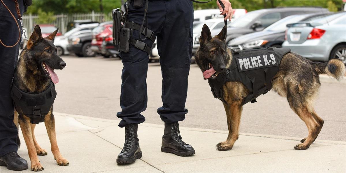 Holandský policajný pes objavil v aute dílera poriadny balík peňazí