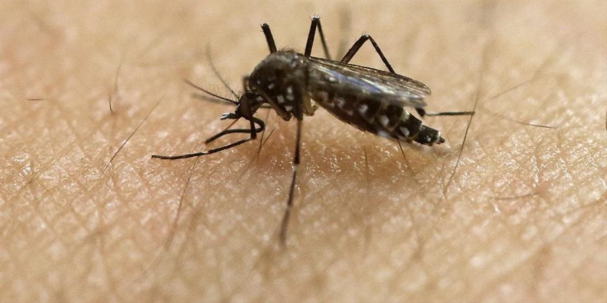 Zika v Riu mlčala, WHO nevie o žiadnom prípade nakazenia