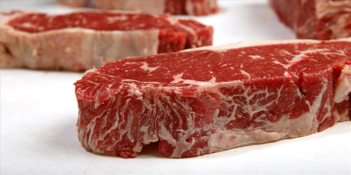 V poľských mäsových výrobkov sa našli antibiotiká