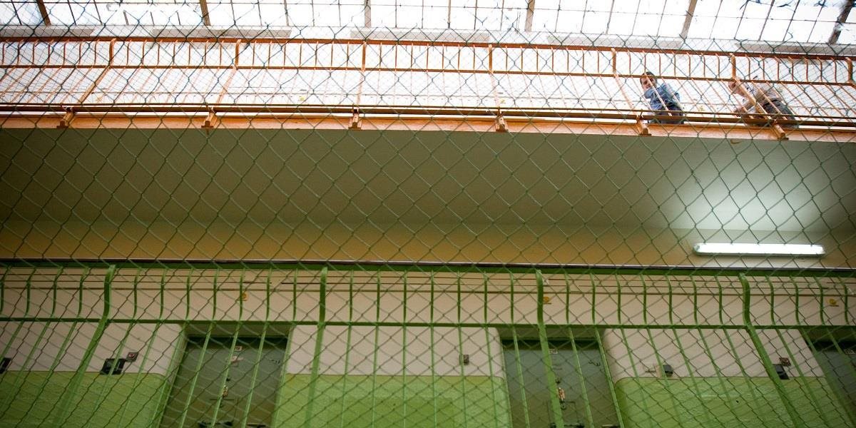 V slovenských väzniciach je v súčasnosti 232 cudzincov