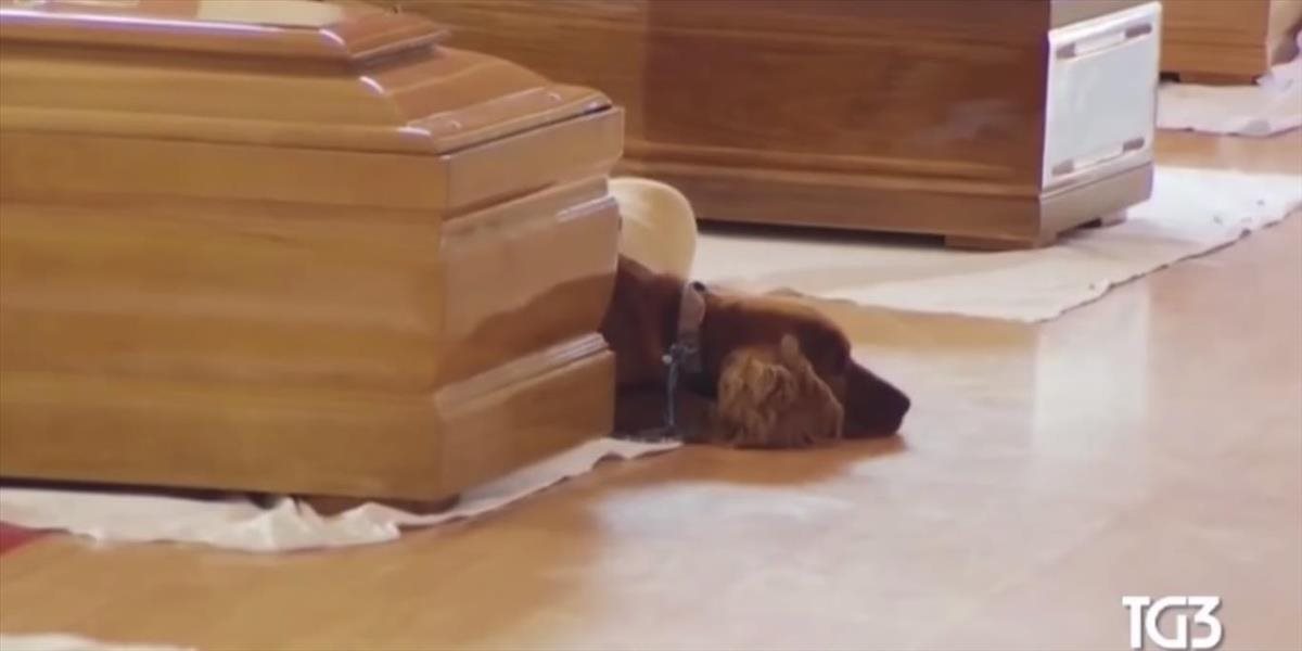 Srdcervúce VIDEO: Oddaný pes nechce opustiť rakvu svojho pána, ktorý zomrel počas zemetrasenia v Taliansku