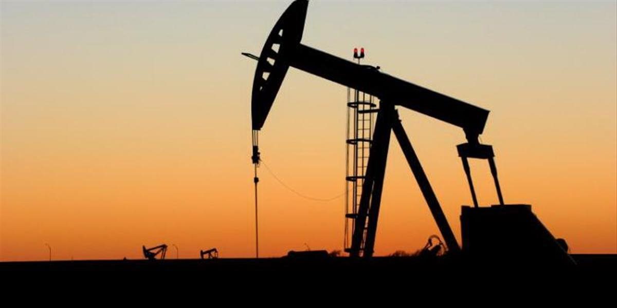 Ceny ropy stagnujú, americká WTI sa obchoduje nad 46 USD za barel