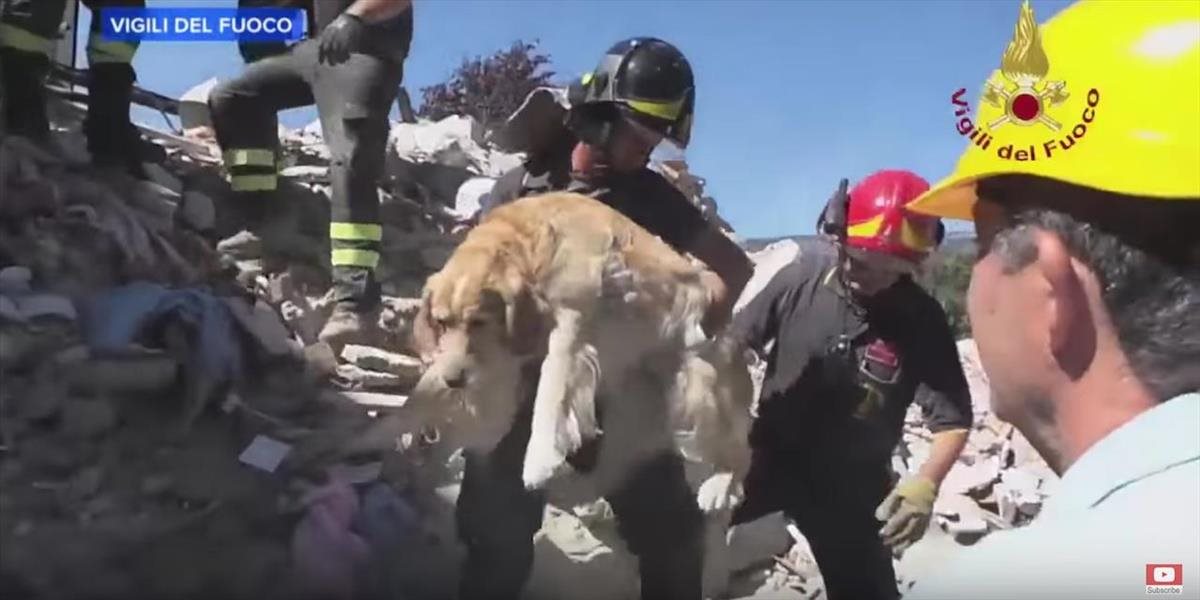 VIDEO Neuveriteľné! Deväť dní po zemetrasení vytiahli hasiči z trosiek živého psa