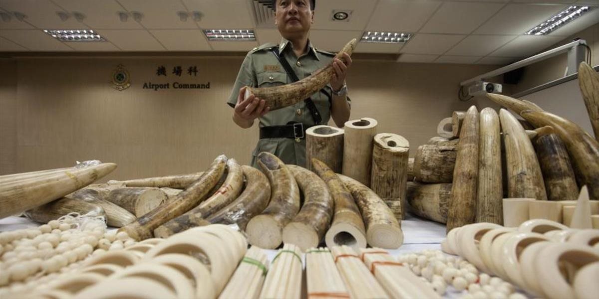 Nemecká polícia zhabala rekordné množstvo slonoviny