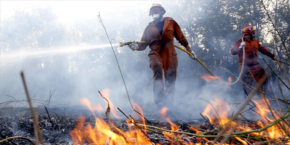 Bulhari chcú žalovať nelegálnych migrantov, ktorí mali spôsobiť lesný požiar