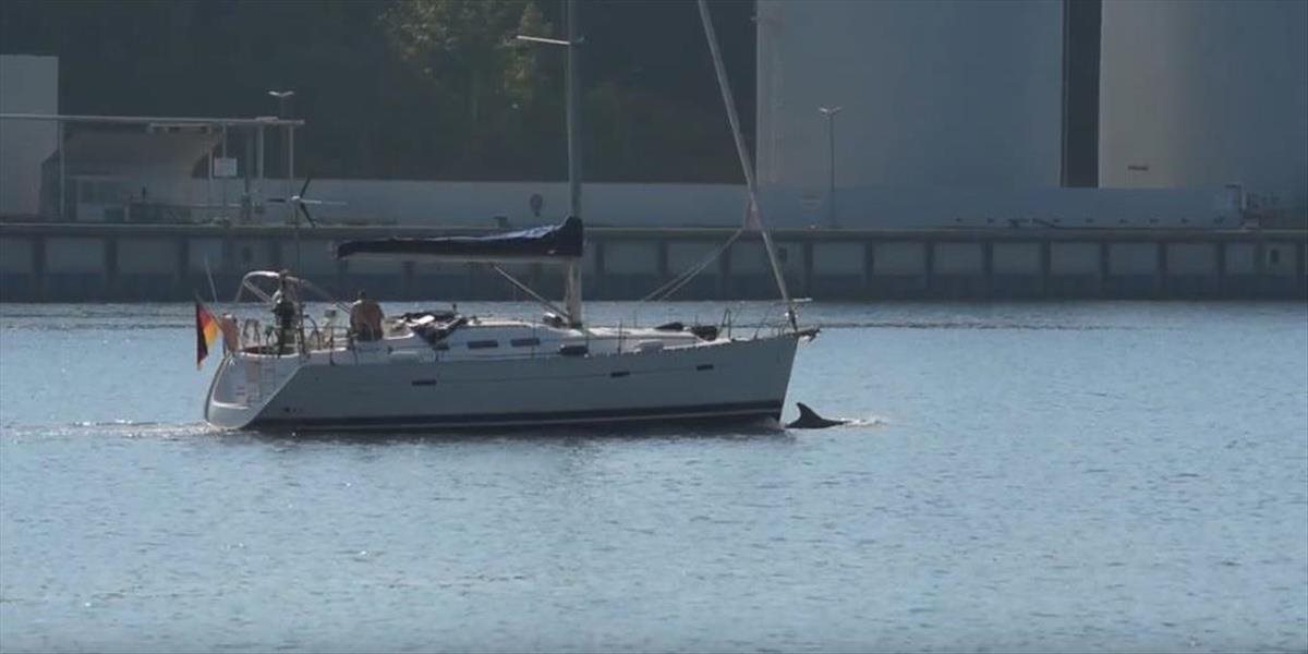 VIDEO Delfín zabáva kúpajúcich sa v Kielskom prieplave