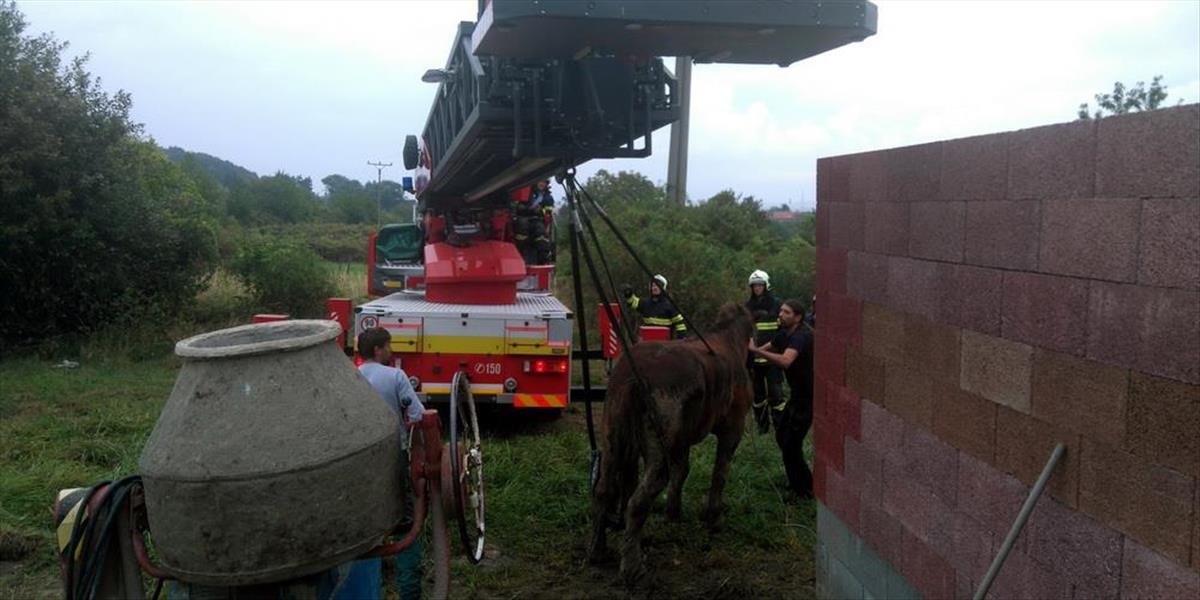 FOTO Hasiči zachraňovali v Limbachu uviaznutého koňa