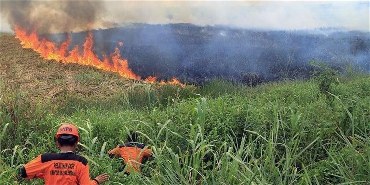 Lesné požiare v Indonézii viedli k predčasnému úmrtiu 100-tisíc ľudí