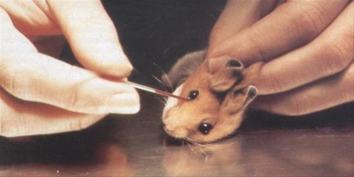 Súdny dvor EÚ: Kozmetiku so zložkami testovanými na zvieratách možno zakázať