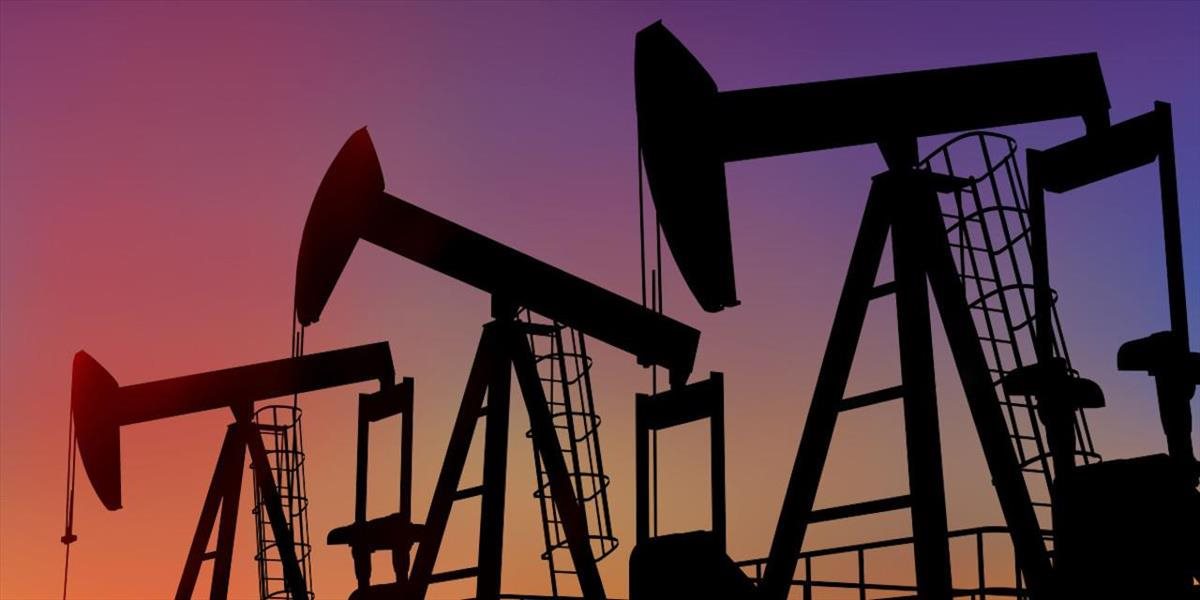 Ceny ropy klesli, americká WTI sa obchoduje pod 46 USD za barel