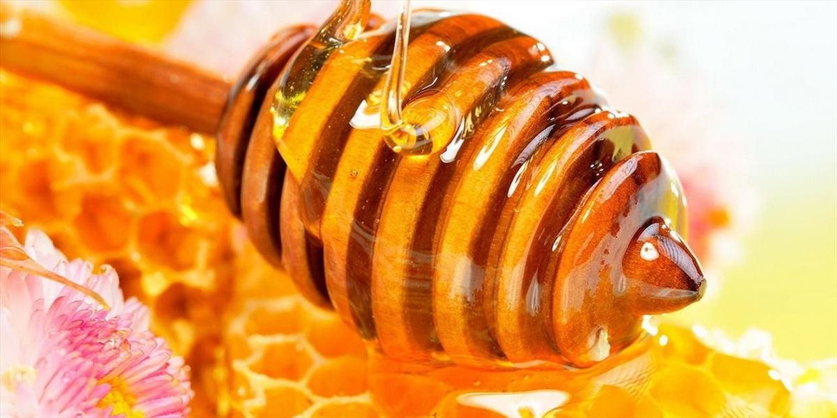 Slovenskí včelári vyprodukovali takmer o polovicu menej medu ako vlani
