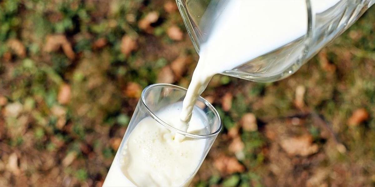 Nákupná cena mlieka v SR medzimesačne stúpla o 1,2 %