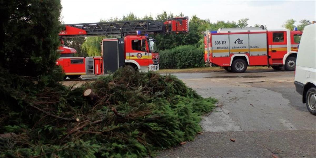 Hasiči v oblasti Dobšinej a Košíc likvidovali desiatky popadaných stromov