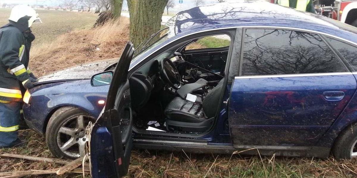 Pri Lubine narazilo auto do stromu: Zranili sa traja ľudia