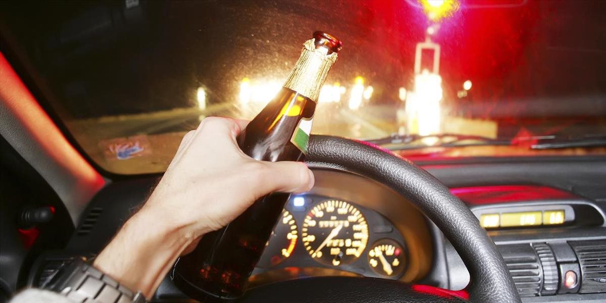 Mladá vodička šoférovala opitá a aj napriek zákazu jazdiť