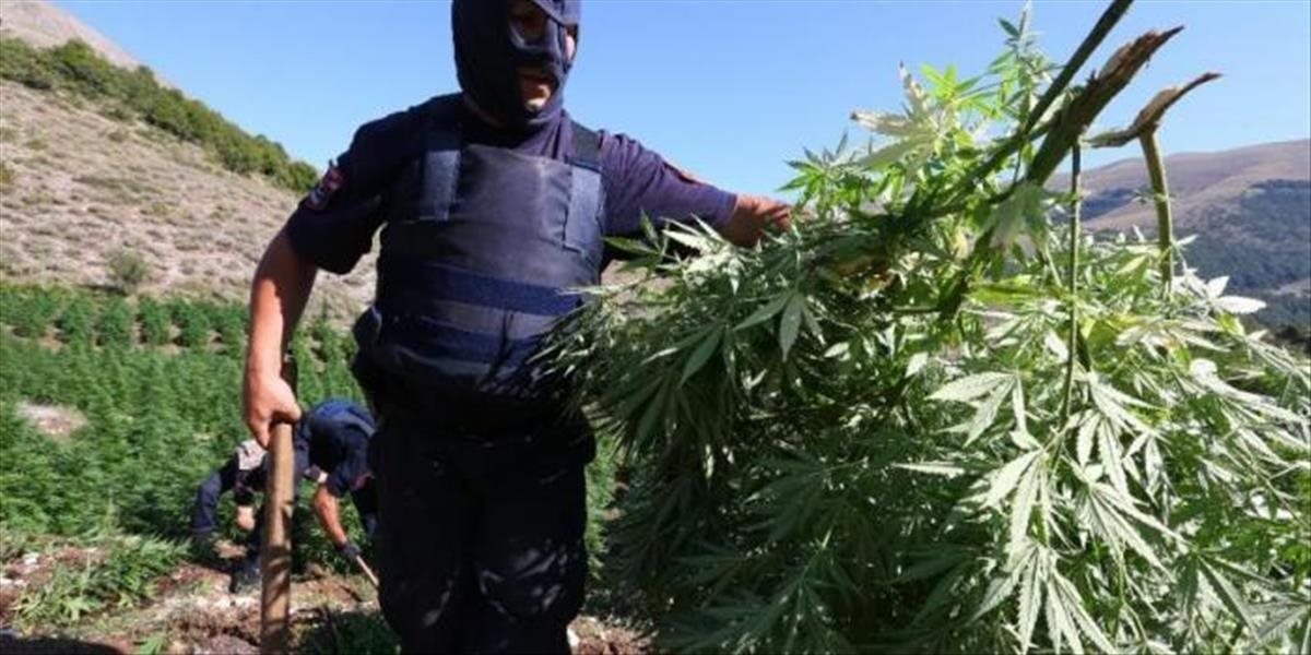 Albánska polícia zhabala 1,3 tony marihuany a zatkla 11 podozrivých
