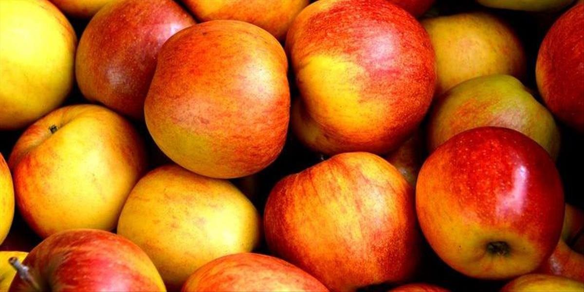Mrazy znížili úrodu jabĺk o polovicu, ministerstvo hľadá možnosti kompenzácie