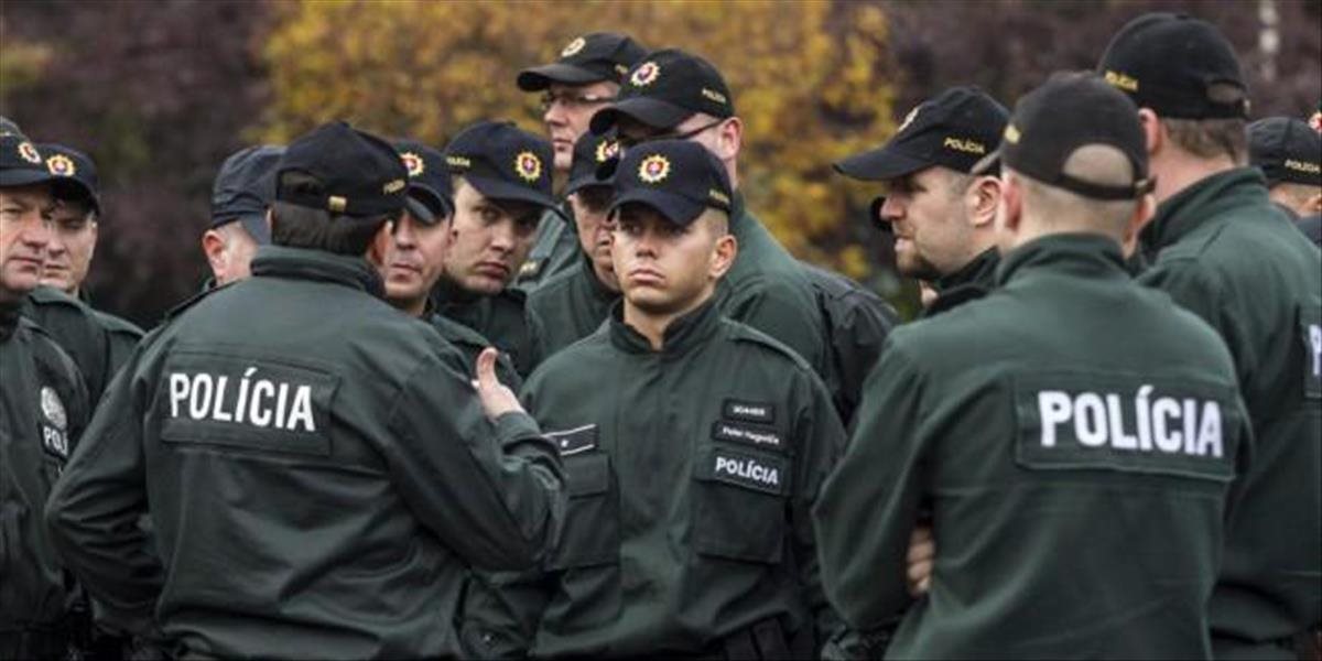 Slovenskí policajti odišli chrániť srbsko-macedónsku hranicu